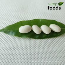 Canned White Kidney Beans Japanese Type Specification